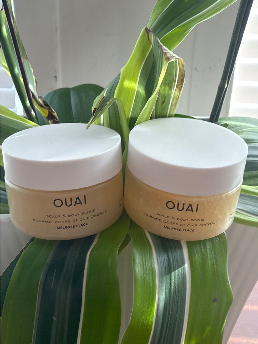 OUAI Scalp & Body Scrub Pair - White Lids with Yellow Jars